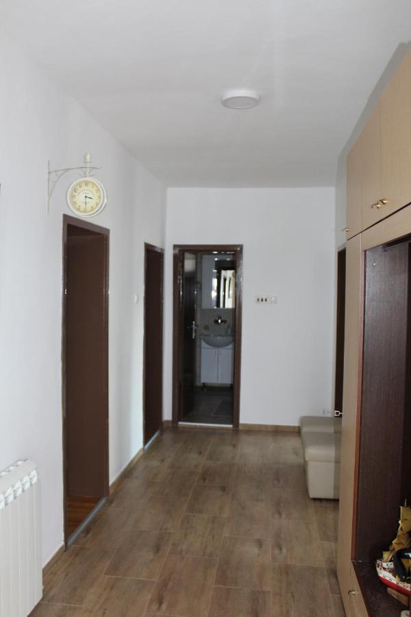 M Apartment Vrsac Exterior photo
