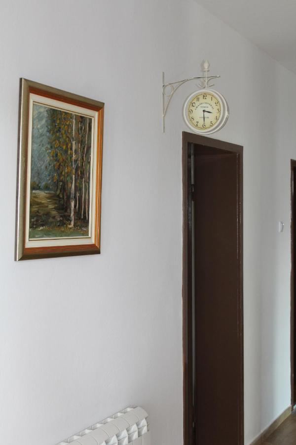 M Apartment Vrsac Exterior photo